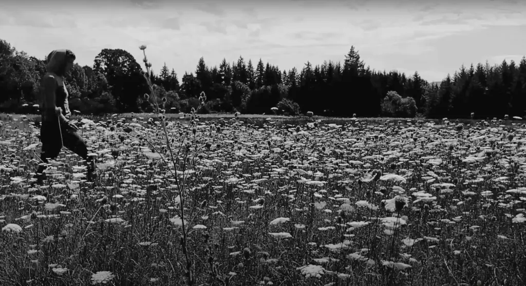 Scene from the Treasures That We Seek music video